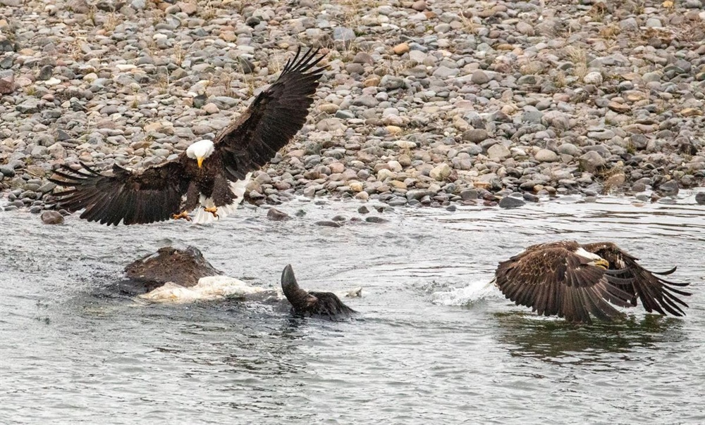 House passes Great American Outdoors Act; bill now awaits Trump's signature