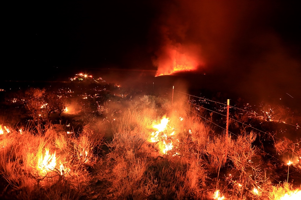 Hunters: Stop the Weeds from Burning Up the West’s Wildlife!