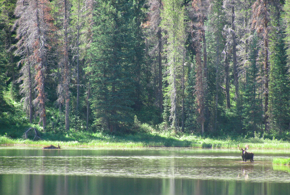 State Wildlife Areas Deserve Everyone’s Support
