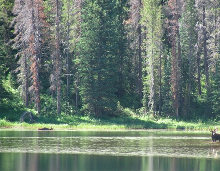 State Wildlife Areas Deserve Everyone’s Support