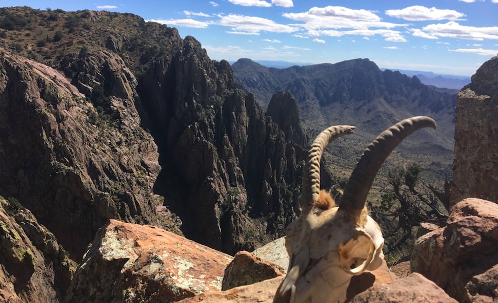 NM BHA Opposes Dolomite Mine in Ibex Country