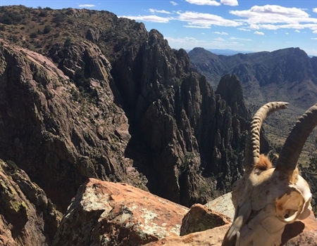 NM BHA Opposes Dolomite Mine in Ibex Country
