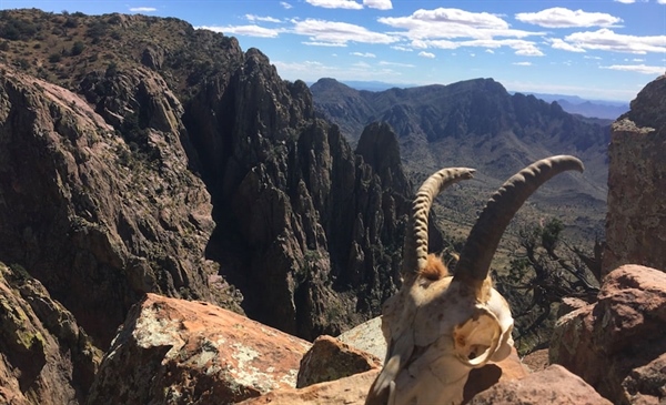 NM BHA Opposes Dolomite Mine in Ibex Country