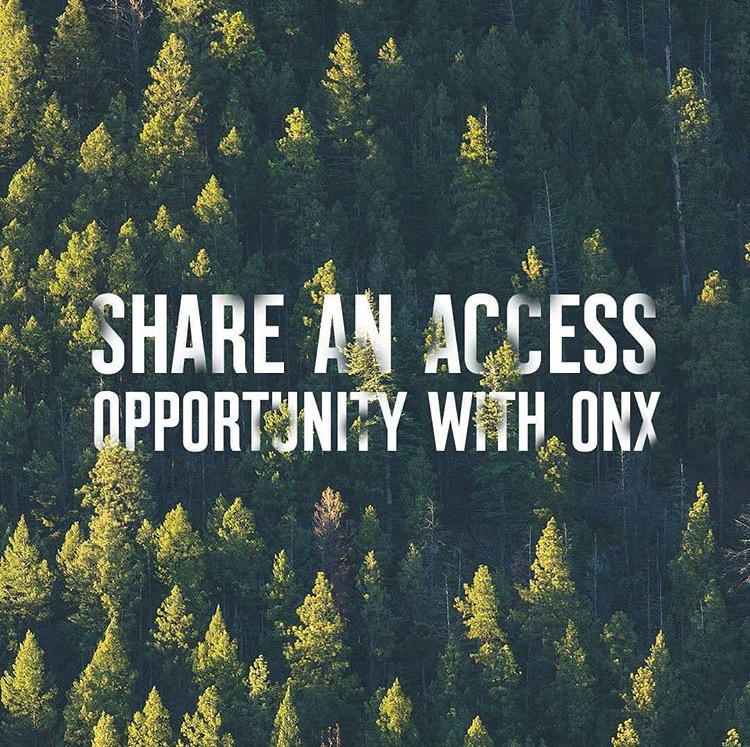 Report an Access Project with onX