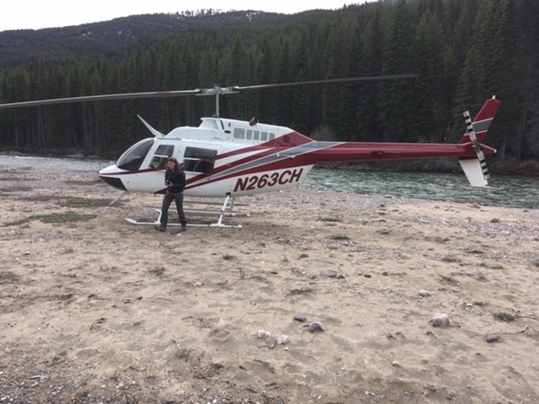 BHA Rewards Hunter who Reported Illegal Wilderness Helicopter