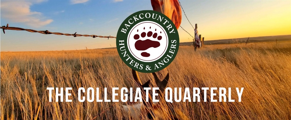 The Collegiate Quarterly: Moving Forward in a Virtual World