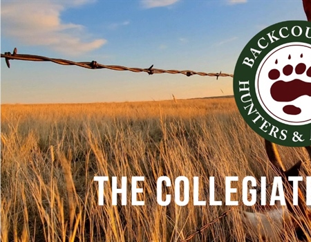The Collegiate Quarterly: Moving Forward in a Virtual World