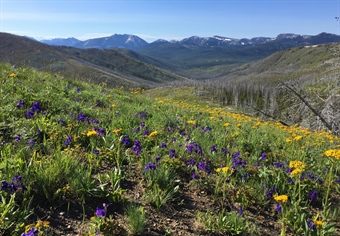 Federal appeals court upholds cancellation of Badger-Two Medicine oil, gas leases