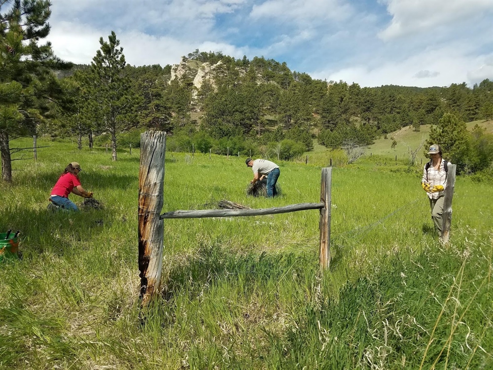 WY Chapter Leaders Assist With Fence Project
