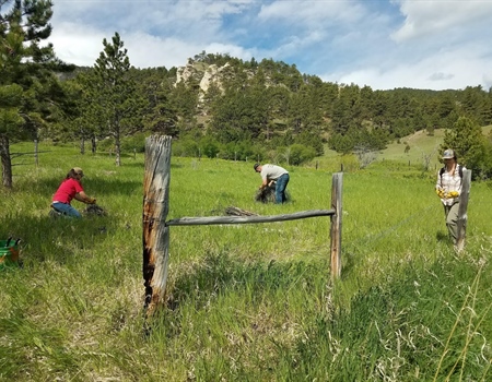 WY Chapter Leaders Assist With Fence Project
