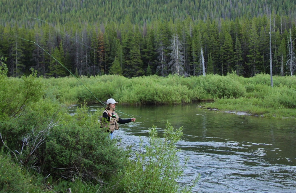 Great American Outdoors Act Gains Momentum  in House, Senate