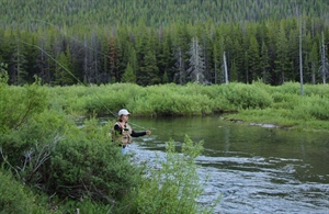 Great American Outdoors Act Gains Momentum  in House, Senate