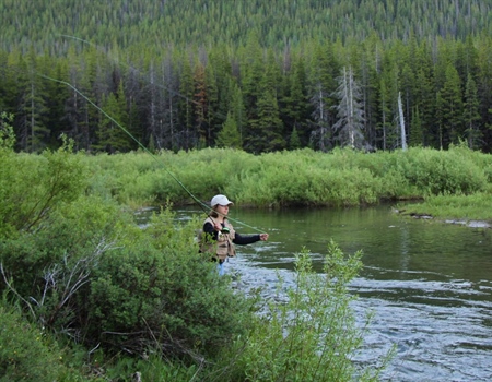 Great American Outdoors Act Gains Momentum  in House, Senate