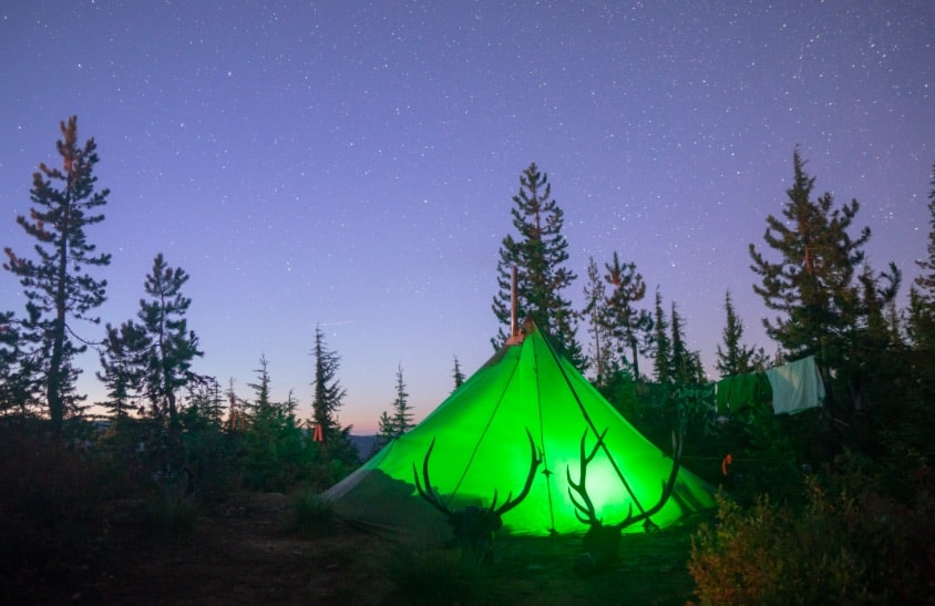 June 2020 AZ BHA Newsletter