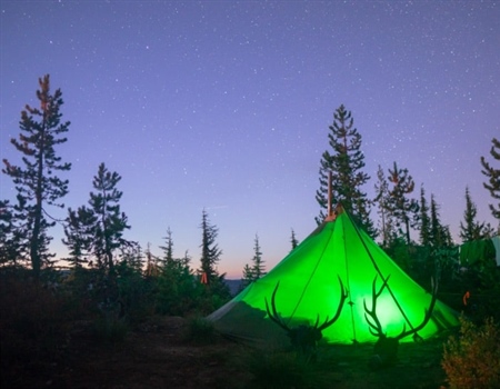 June 2020 AZ BHA Newsletter