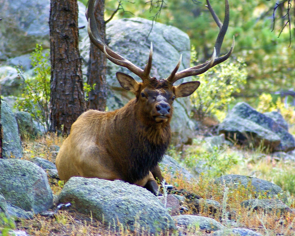 Senate to Vote on Great American Outdoors Act