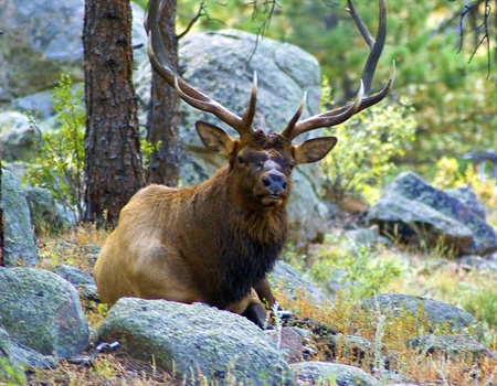 Senate to Vote on Great American Outdoors Act