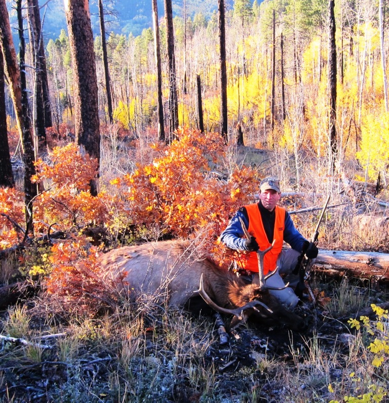 E-Bikes & Elk: A Bad Combination