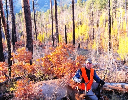 E-Bikes & Elk: A Bad Combination