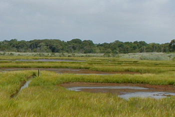 Help expand hunting on National Wildlife Refuges in New York