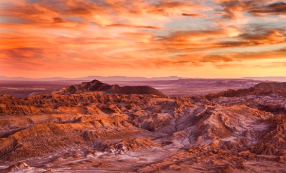 May 2020 AZ BHA Newsletter
