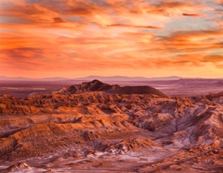 May 2020 AZ BHA Newsletter