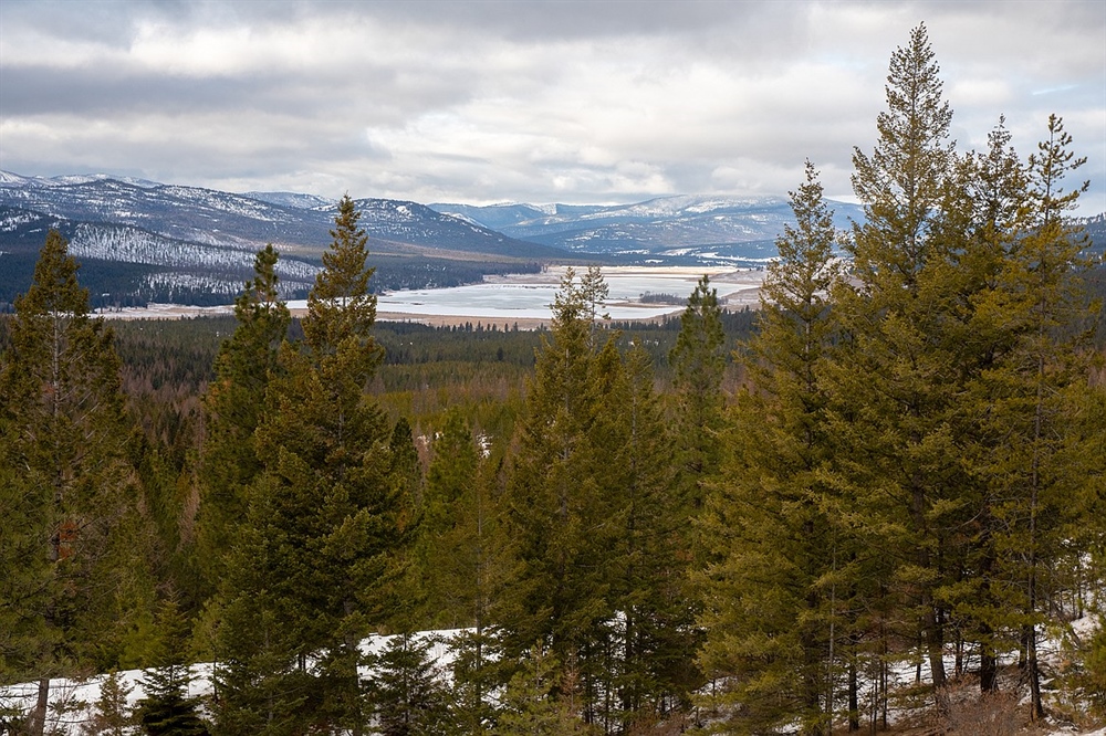 MT BHA Encourages Lost Trail Conservation Easement