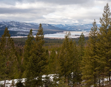 MT BHA Encourages Lost Trail Conservation Easement