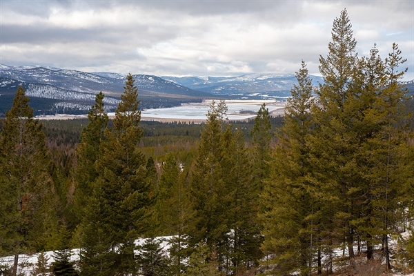 MT BHA Encourages Lost Trail Conservation Easement