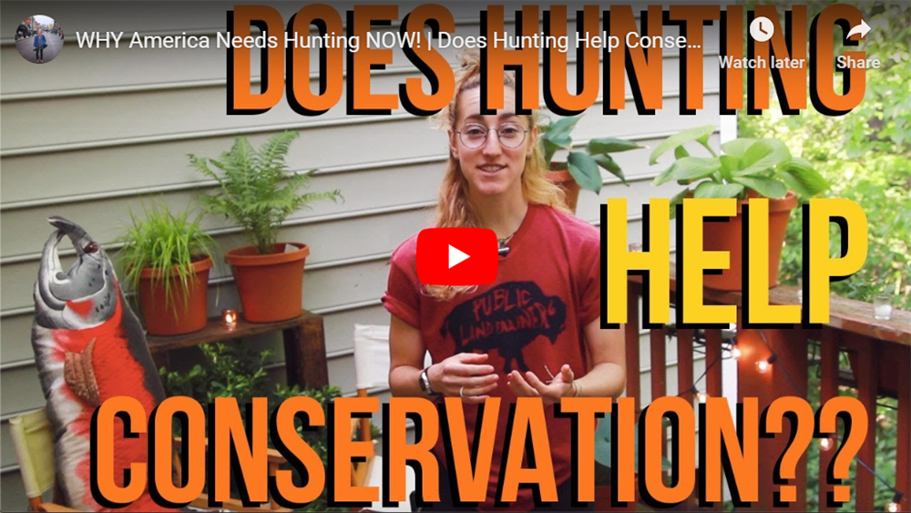 NC State Club Vice President Creates Film "Why America Needs Hunting Now: Does Hunting Help Conservation?"