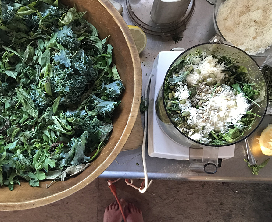 Wild Greens Pesto