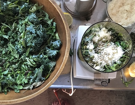 Wild Greens Pesto