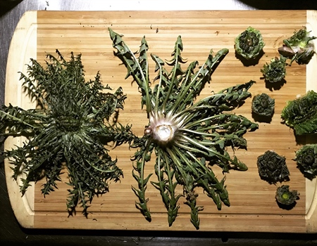 Salted Wild Greens