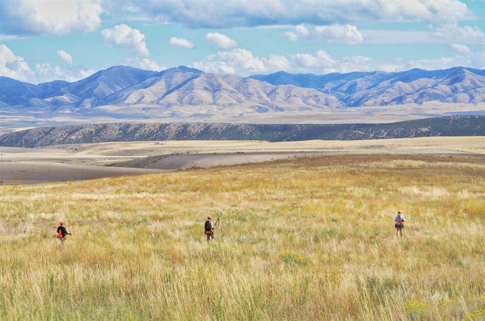 Want to Discover New Public Land Opportunities? The MAPLand Act is Here to Help