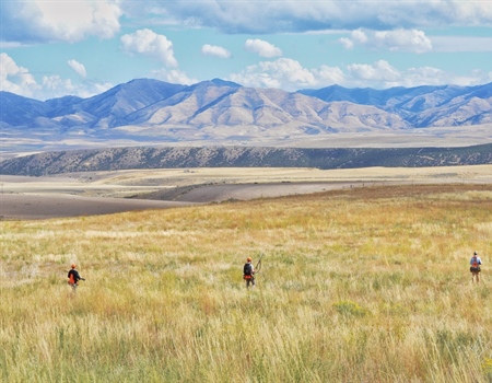 Want to Discover New Public Land Opportunities? The MAPLand Act is Here to Help