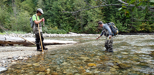 Administration Rule on Clean Water Act Eliminates Protections for Wildlife Habitat, Ignores the Will of the Public