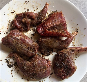 Fox Squirrel Carnitas