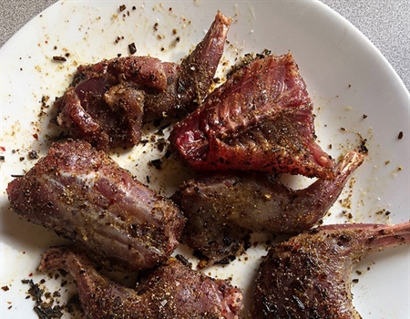 Fox Squirrel Carnitas