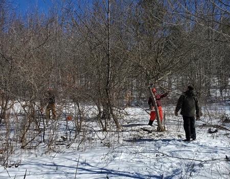 History in the air as Vermont Collegiate Chapters pitch in on habitat work