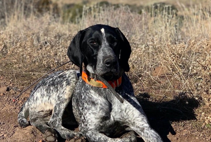 Social Distancing on Arizona Public Lands