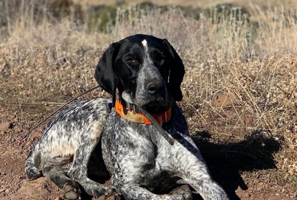 Social Distancing on Arizona Public Lands
