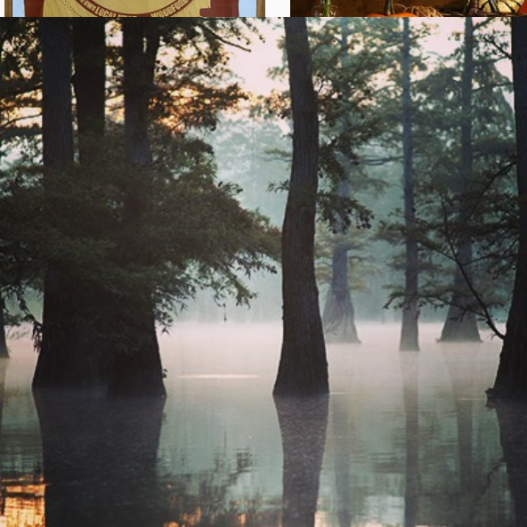 Spring 2020 Kentucky Chapter News