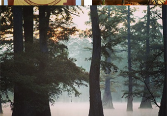Spring 2020 Kentucky Chapter News