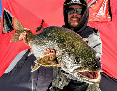 Colorado Backcountry Hunters & Anglers  Appoint Habitat Watch Volunteer