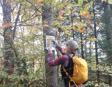 Spring 2020 New York Chapter News