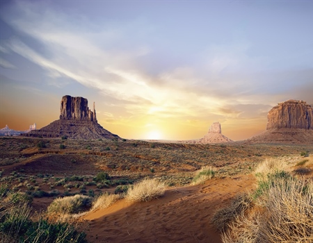 February 2020 AZ Newsletter