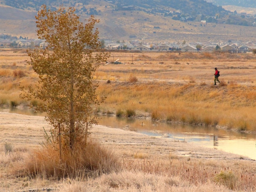 Nevada Chapter encourages public comments in Washoe County