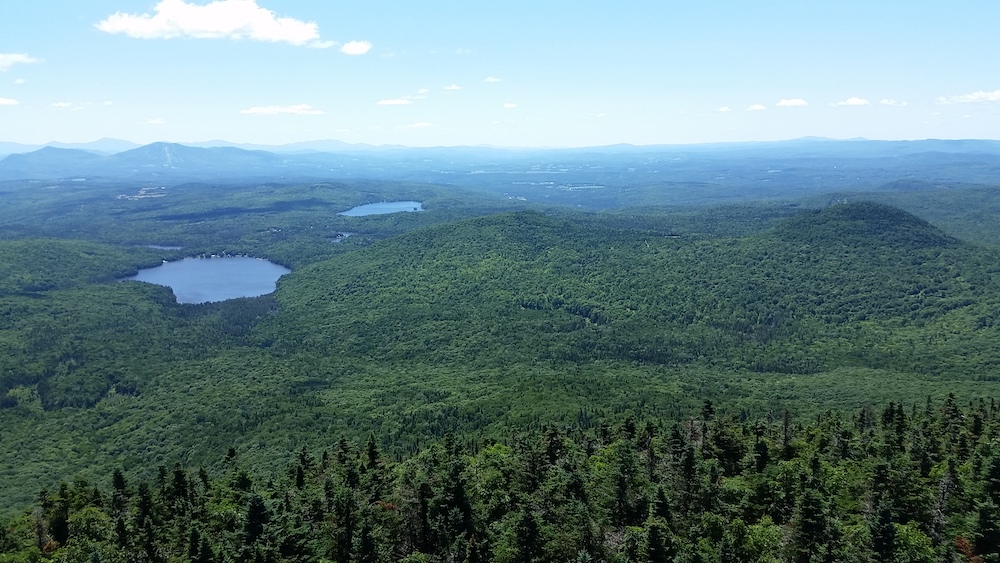 Vermont BHA contemplates trails in our wild spaces