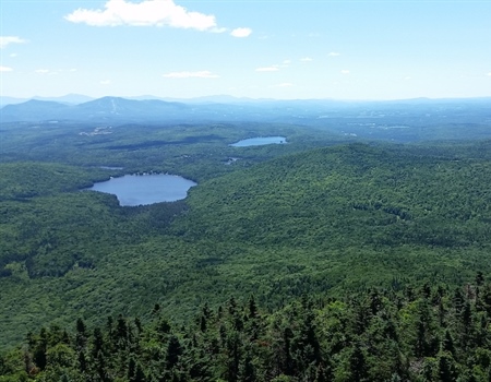 Vermont BHA contemplates trails in our wild spaces
