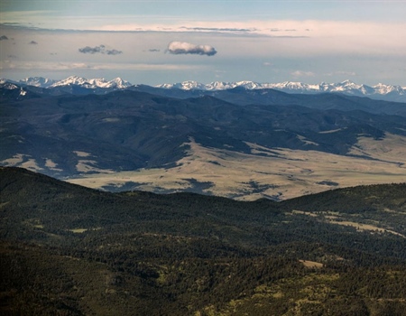 More timber harvest, grazing in new BLM plan